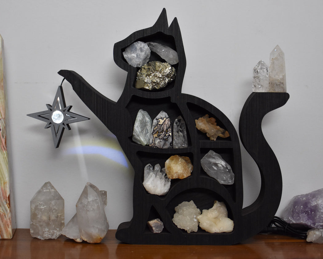 *Made to Order* Illuminated Treasure Cat Shelf and Lamp - Dark Brown