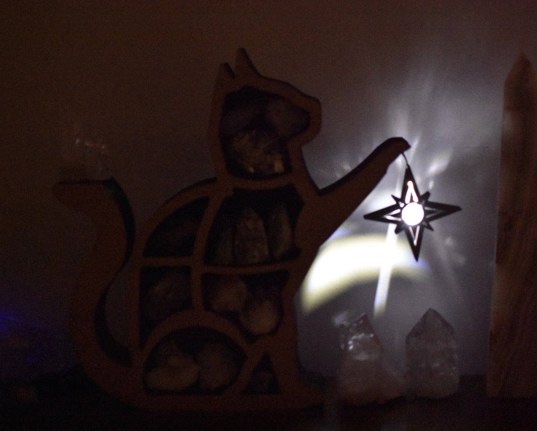 *Made to Order* Illuminated Treasure Cat Shelf and Lamp - Dark Brown