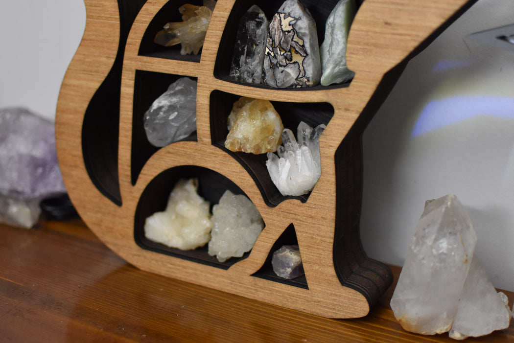 *Made to Order* Illuminated Treasure Cat Shelf and Lamp - Almond Brown