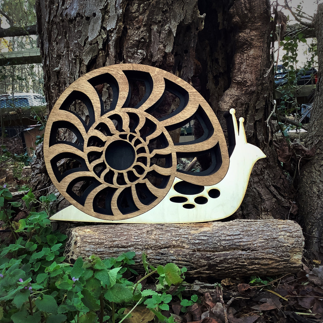 *Made To Order* Ammonite Shell Snail Backlit Crystal Shelf Luminous Lamp