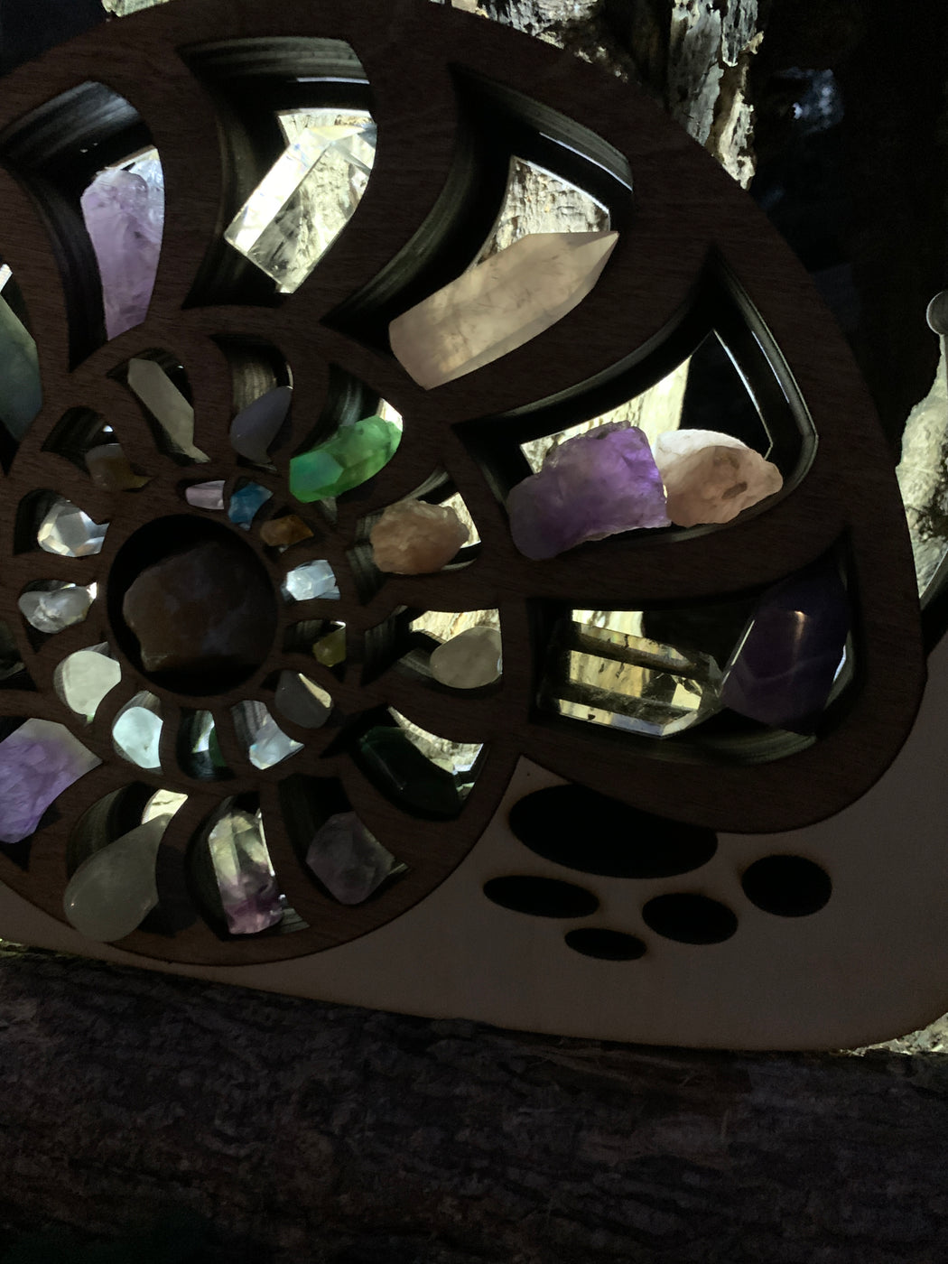 *Made To Order* Ammonite Shell Snail Backlit Crystal Shelf Luminous Lamp