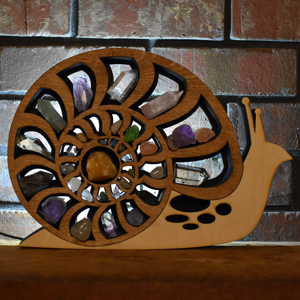 *Made To Order* Ammonite Shell Snail Backlit Crystal Shelf Luminous Lamp