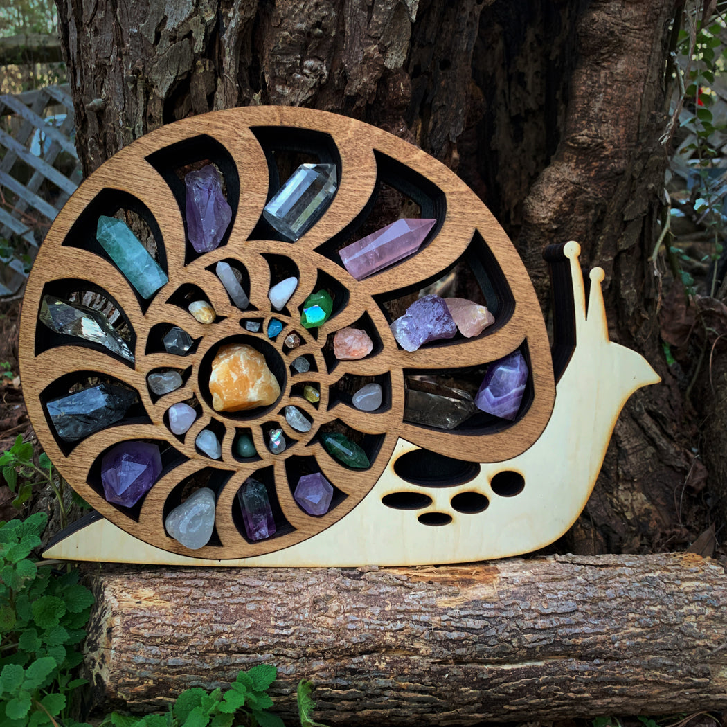 *Made To Order* Ammonite Shell Snail Backlit Crystal Shelf Luminous Lamp