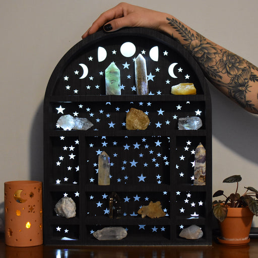 *Made To Order* Treasure Crow - Luminous Lamp