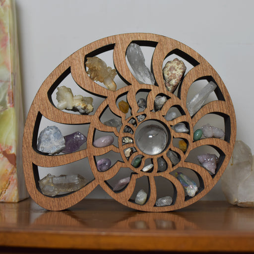 Ammonite Backless Crystal Shelf