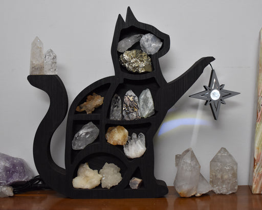 *Made to Order* Illuminated Treasure Cat Shelf and Lamp - Dark Brown