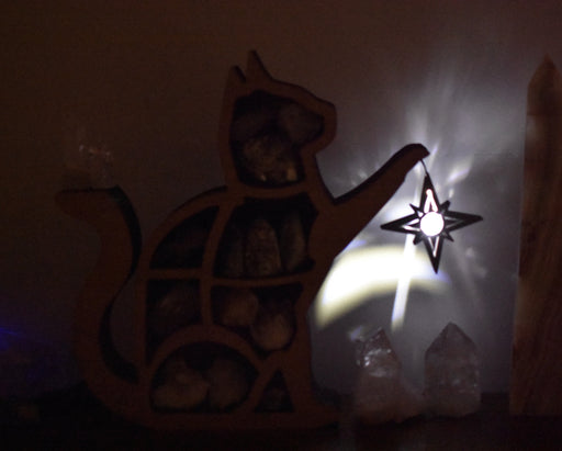 *Ready To Ship* Illuminated Treasure Cat Shelf and Lamp - Dark Brown